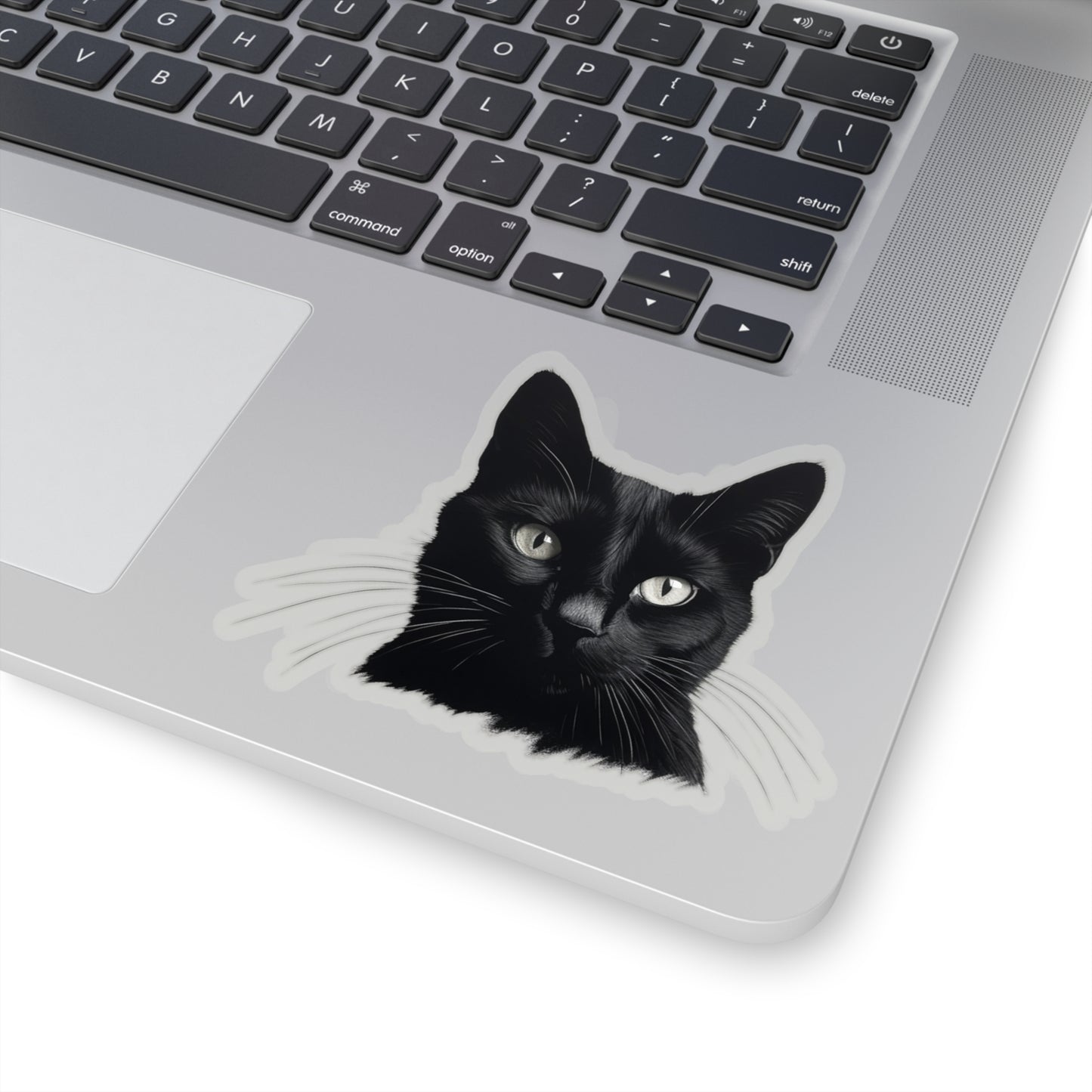 Black Cat Sticker! 🖤🐾