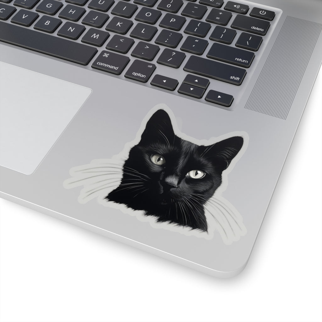 Black Cat Sticker! 🖤🐾