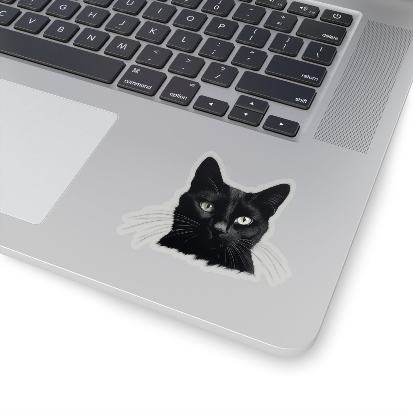 Black Cat Sticker! 🖤🐾