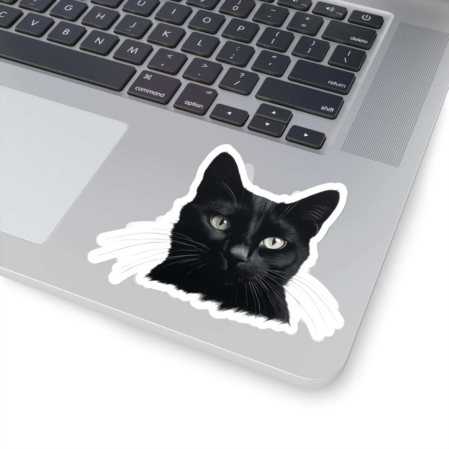 Black Cat Sticker! 🖤🐾