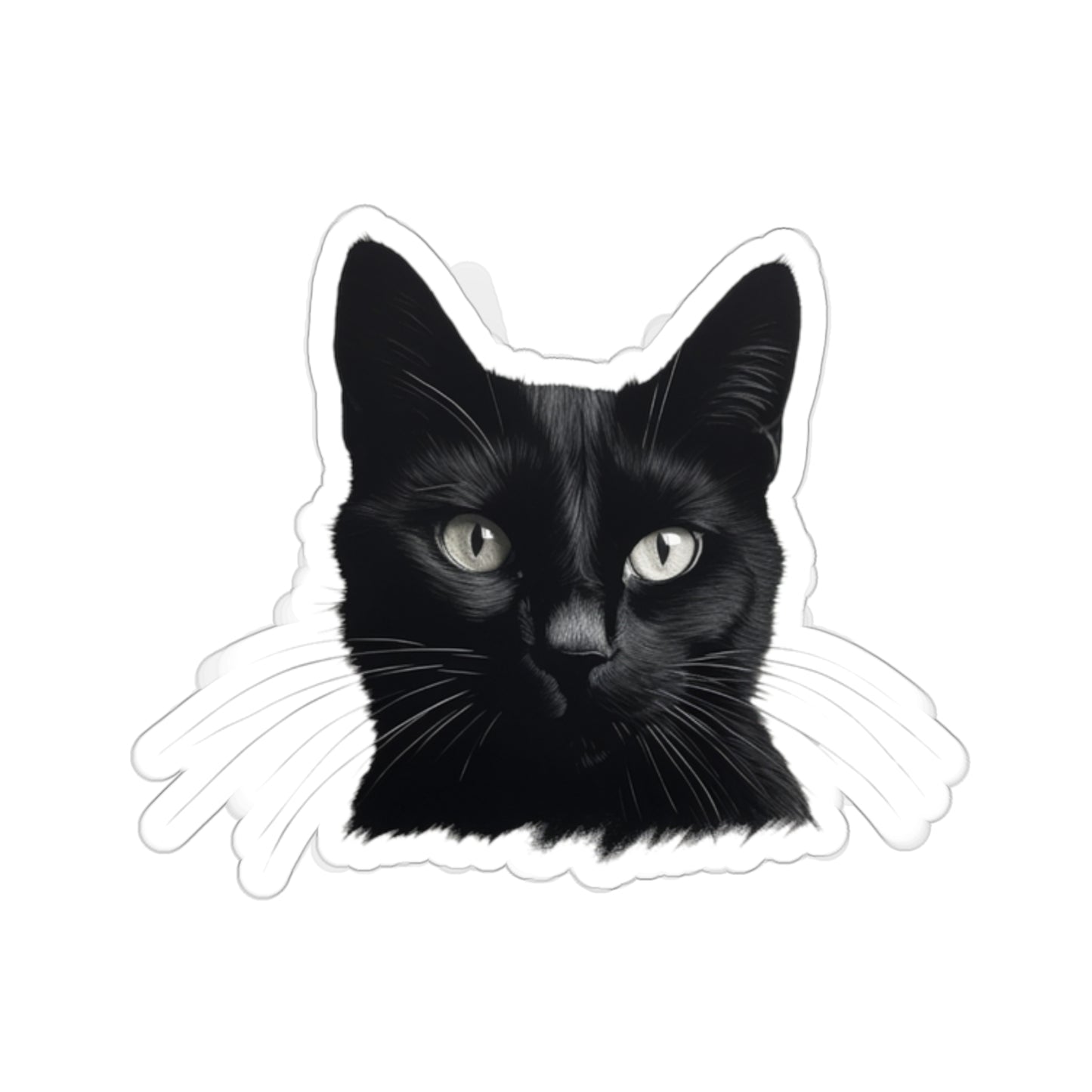 Black Cat Sticker! 🖤🐾