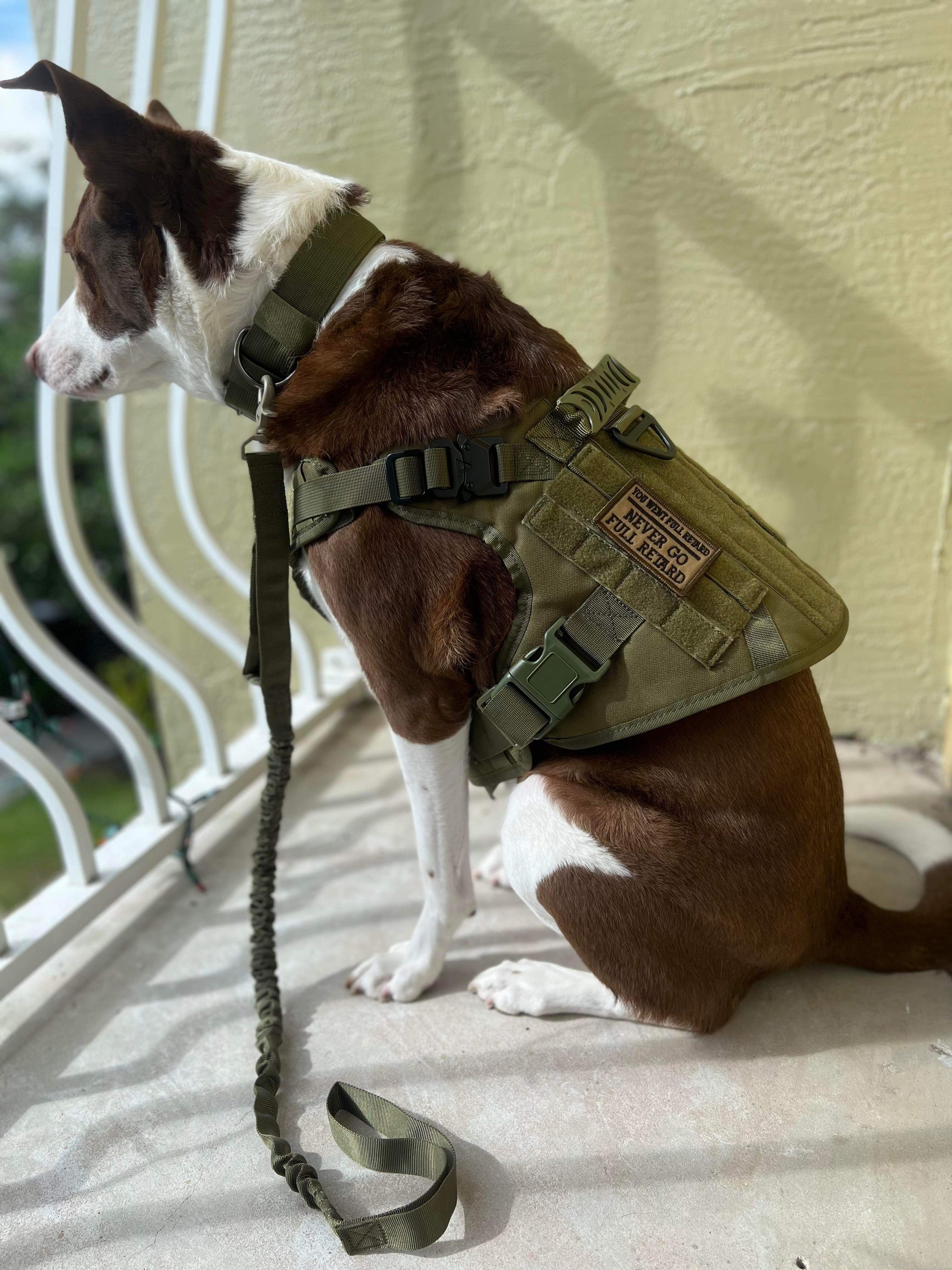 Dog Tactical Vest