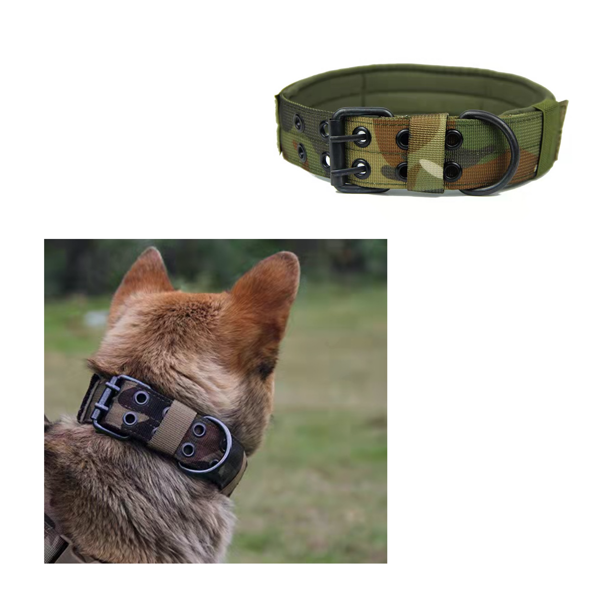 Dog Tactical Collar