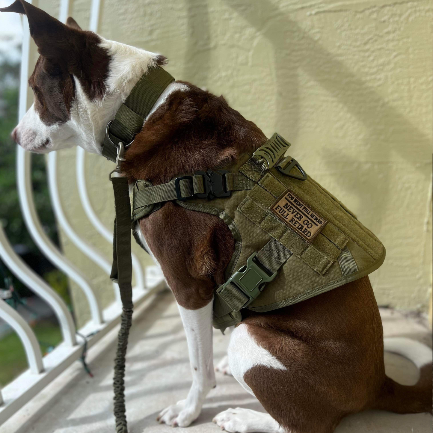 Tactical Dog Harness