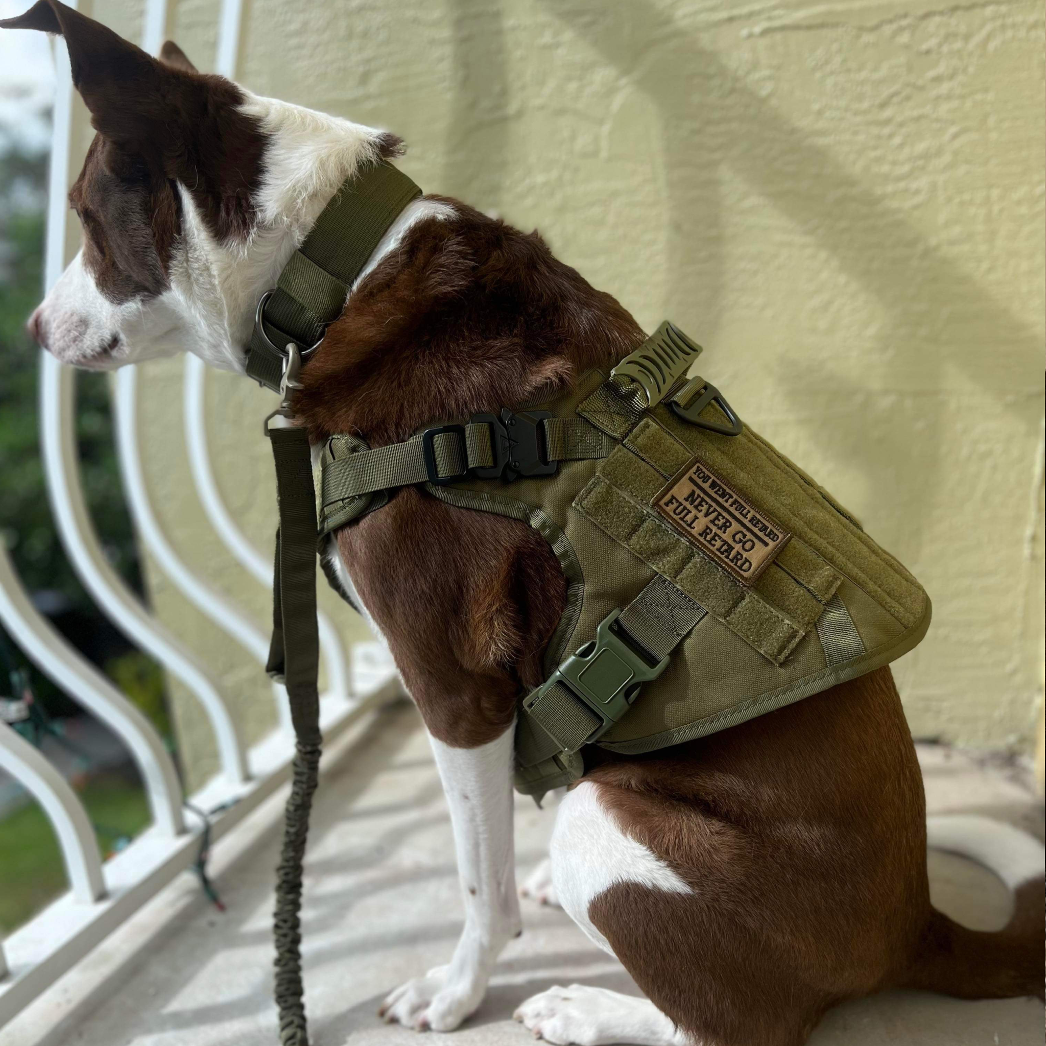 Tactical Dog Leash